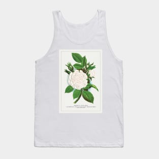 Rose, Perpetual White Moss lithograph (1900) Tank Top